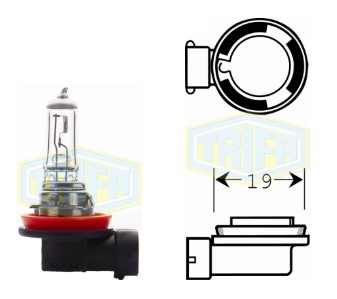 BOMBILLO HALOGENO H11 12V 55W PGJ19-2  LUZ DIA