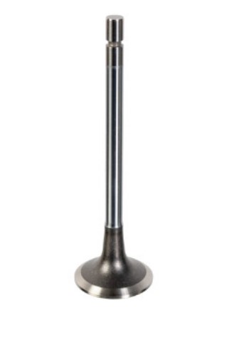 VALVULA ESCAPE OM460