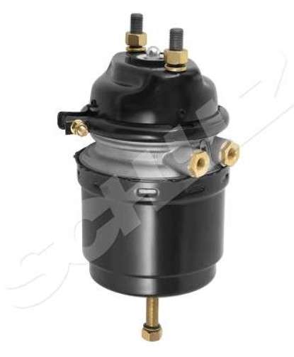 PULMON O500M TRASERO DERECHO