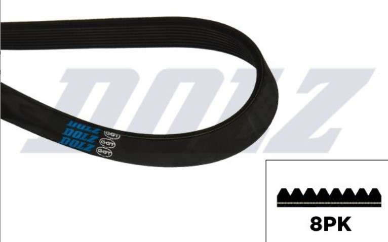 FAJA MULTICANAL 8PK X 1395 54.92 PULGADAS SCANIA K124 420HP