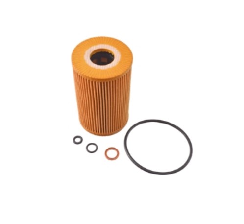 FILTRO ACEITE MOTOR BMW M42 M43 E30 E36 E46 E34 CH8087 P8445