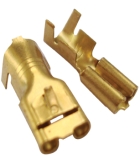 TERMINAL HEMBRA