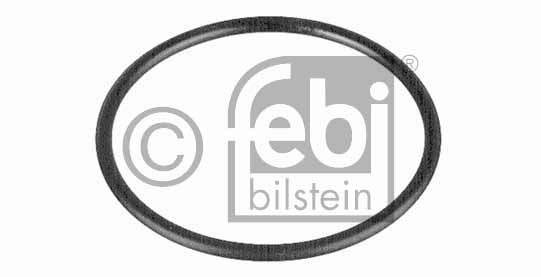 ORING TERMOSTATO W123/124/126/129/140/G460/OM601/602