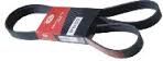 FAJA MULTICANAL 8PK X 1545 60.82 SCANIA K124