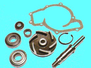JR BOMBA AGUA MOTOR PERKINS QB 20B 6.354-4
