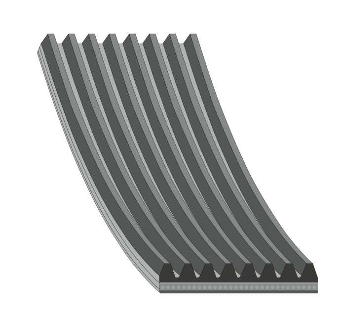 FAJA MULTICANAL 8PK X 1275 50.19 PULGADAS MAN KING LONG