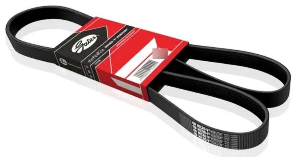 FAJA MULTICANAL 8PK X 1445 56.88 PULGADAS VW 17.210