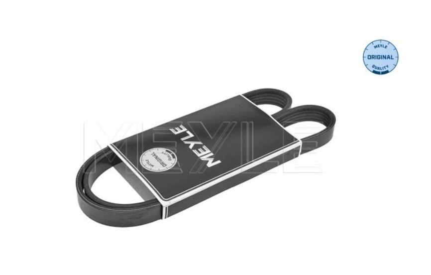 FAJA MULTICANAL 5PK X 0890 35.03 PULGADAS M50