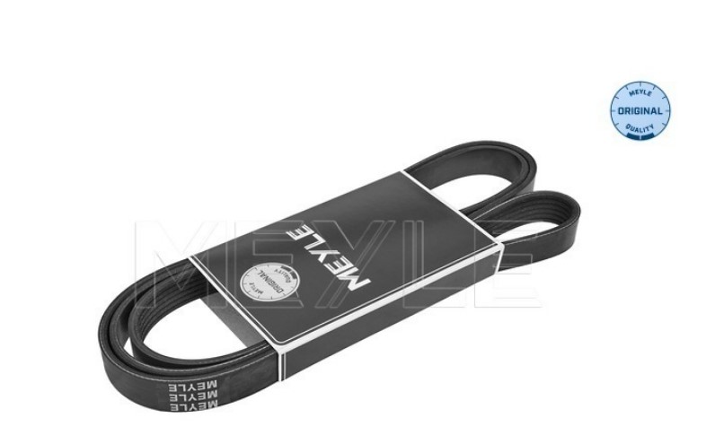 FAJA MULTICANAL 6PK X 2150 84.64 PULGADAS