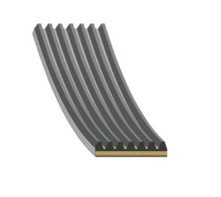 FAJA MULTICANAL 7PK X 1685 66.33 PULGADAS OM622