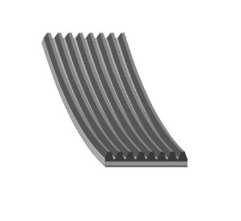 FAJA MULTICANAL 8PK X 1500 59.05 PULGADAS