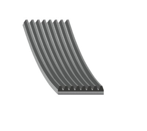 FAJA MULTICANAL 8PK X 1875 73.81 PULGADAS BUS MAN