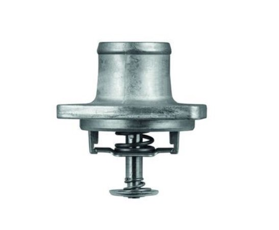 TERMOSTATO 80° M119