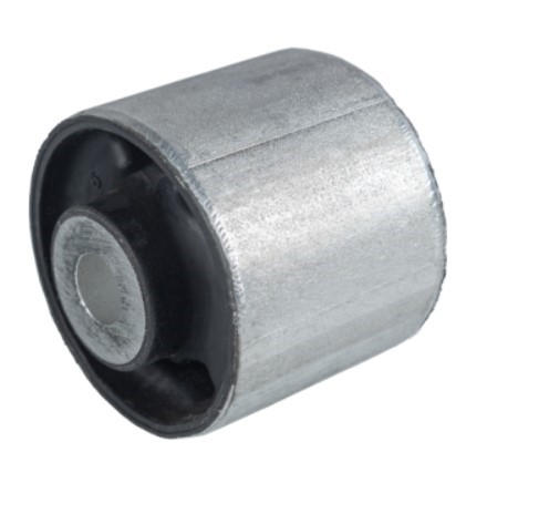 BUJE DIFERENCIAL DELANTERO SOPORTE DCH W166