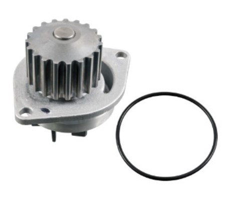 BOMBA AGUA Peugeot 307 1.6 GAS