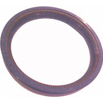 RETENEDOR PISTON SERVOFRENO OF 1317/1617